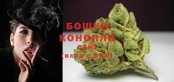 прущие крисы Вязьма