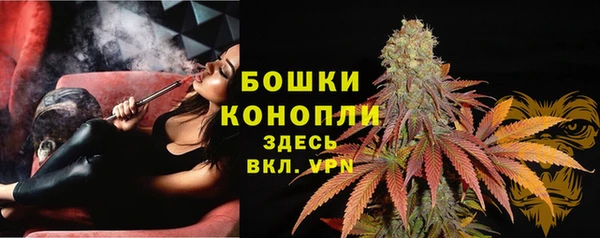 метадон Вяземский