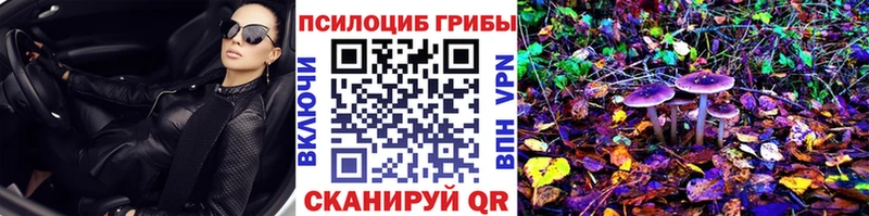 Псилоцибиновые грибы прущие грибы  Калтан 